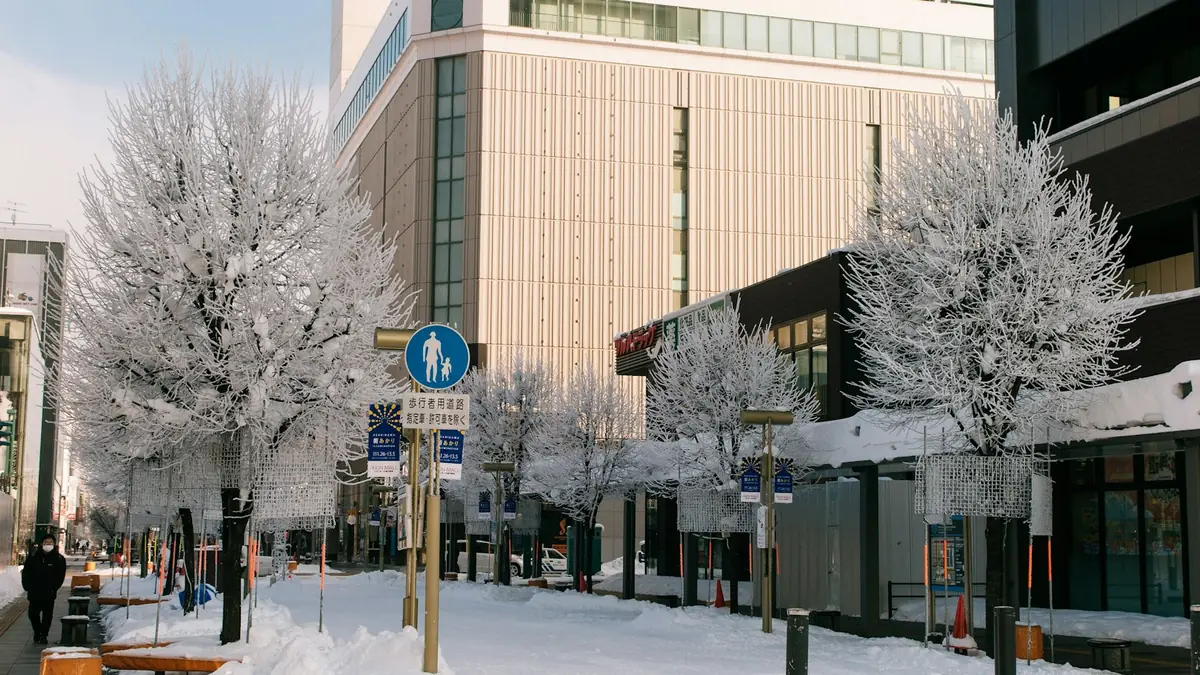 冬の旭川の街なか。歩道の並木が霧氷で真っ白になり、足もとに雪が積もっている