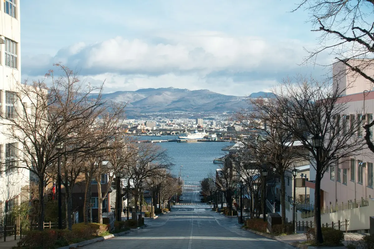 函館の坂の上から、冬枯れの並木越しに港と対岸の山を見下ろしている